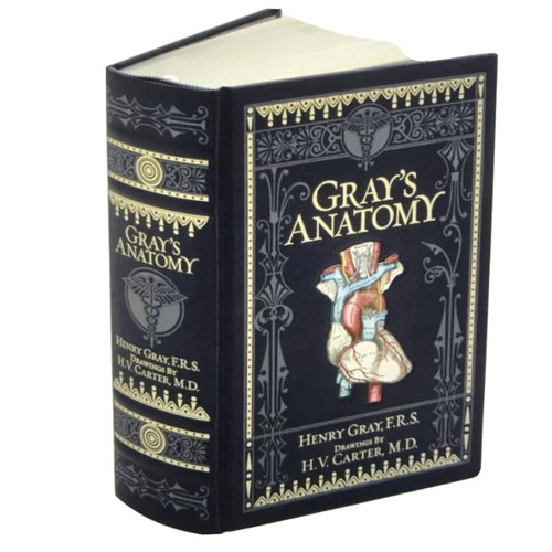 Gray anatomy by - anatomy,