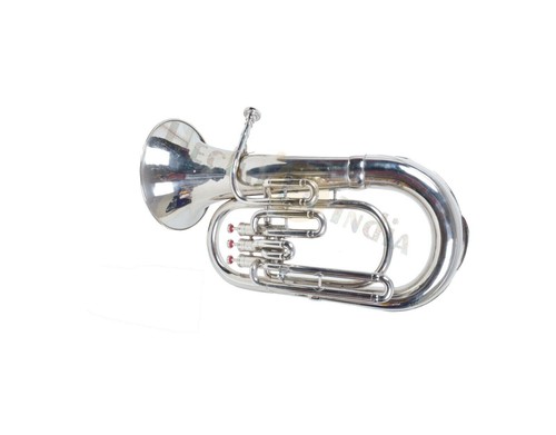 India strumento musicale