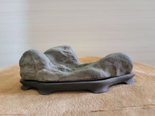 Bonsai suiseki bonseki - suiseki,