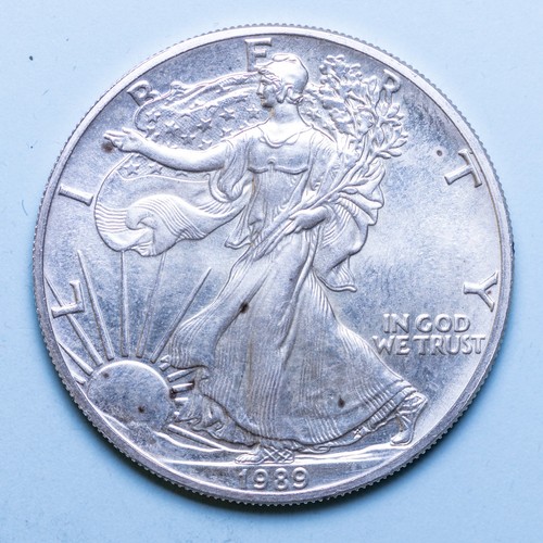 America dollaro 1989 american - america,