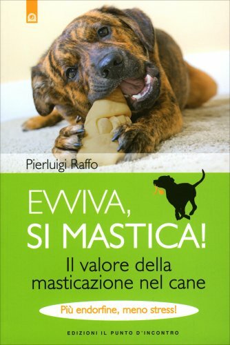 Libro evviva mastica - libro, si