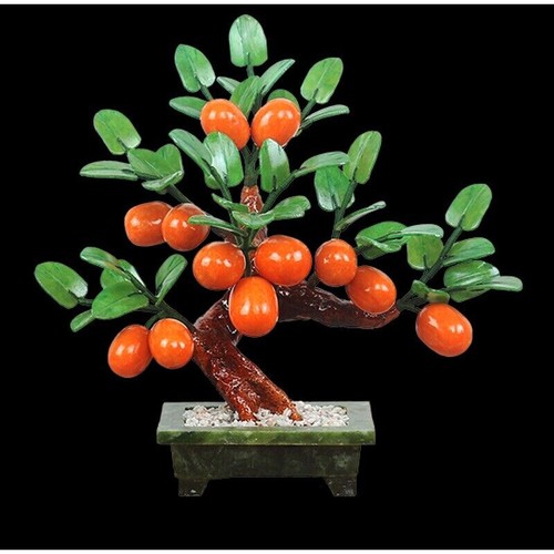 Bonsai giada mandarino - giada,