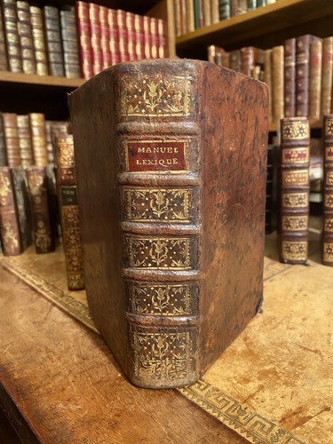Manuel lexique dictionnaire - manuel,