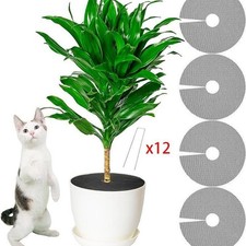 4 pezzi Plant Pont Protector