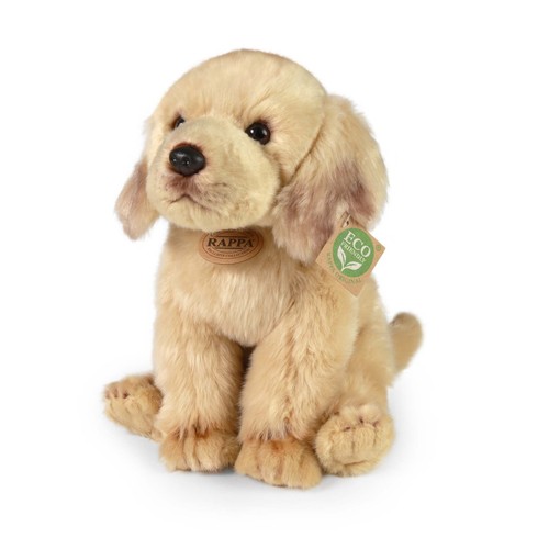Labrador retriever giallo - labrador, 27
