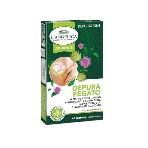 Angelica depura fegato - l'angelica,,