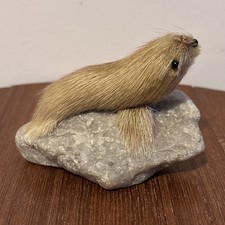 Vintage Fur Covered Seal On A