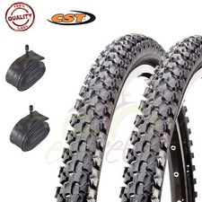 2 COPERTONI 20 X 1.90 (50-406)