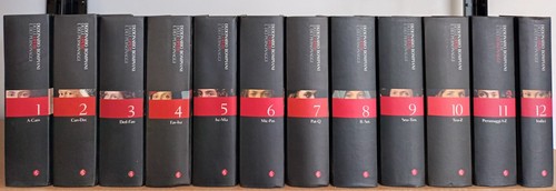 Dizionario bompiani delle - dizionario,