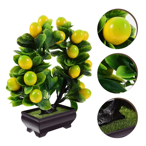 Bonsai finti decorazione - finti,