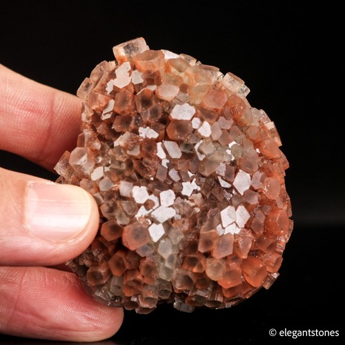 Espositore esemplare minerale