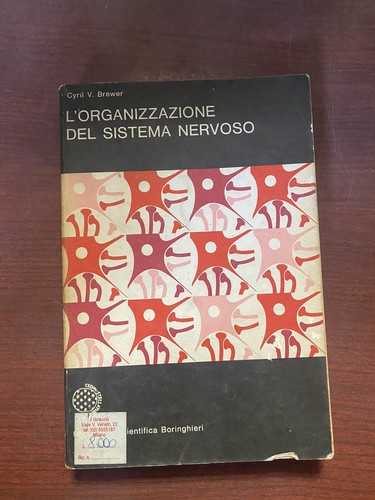 Organizzazione del sistema - l'organizzazione,