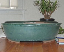 Bonsai X-Large Forest Green