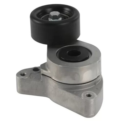 Tensionatore automatico