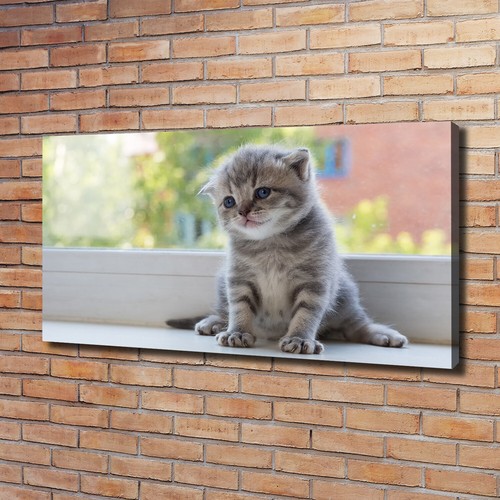 Stampa tela tulup wall art - stampa,