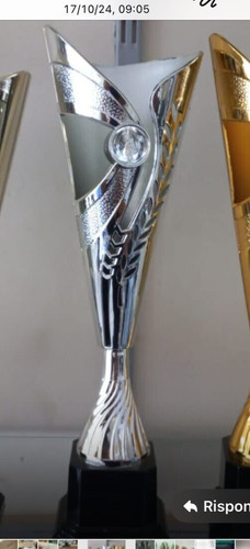 Coppe trofeo argentato - coppe,