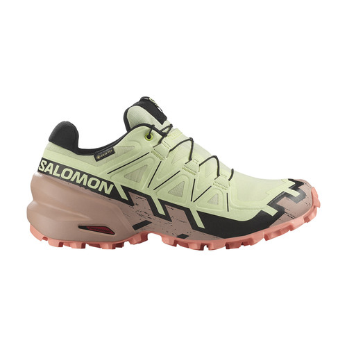 Salomon speedcross gtx - 6,