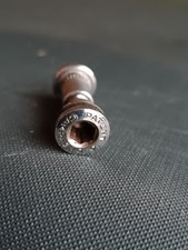 Stringisella CAMPAGNOLO Record