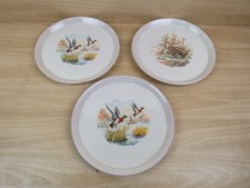 PIATTI ICS INDUSTRIA CERAMICA SALERNO MAIOLICHE con disegni anatre cinghiale