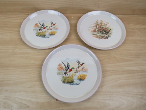 Piatti ics industria ceramica - ics,