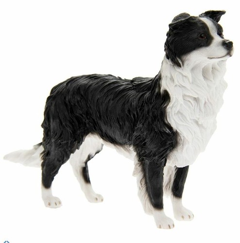 Border collie sheepdog - border,