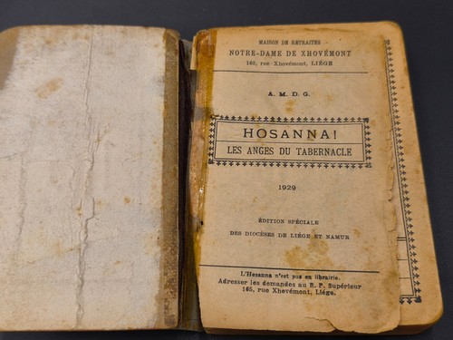 Antica osanna del 1929 libro - antica,
