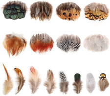 160 Pezzi Piume Naturali Decorative,  8 Assortiti Artigianato Piume per Decorazi