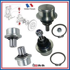 Rotule inférieure +