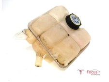 Serbatoio Compensazione Ford