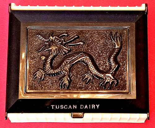 Custodia plastica drago - drago, da