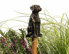 Cane Companions Decorative