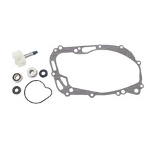 Kit revisione pompa acqua