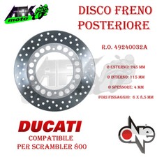 Disco Freno Posteriore per