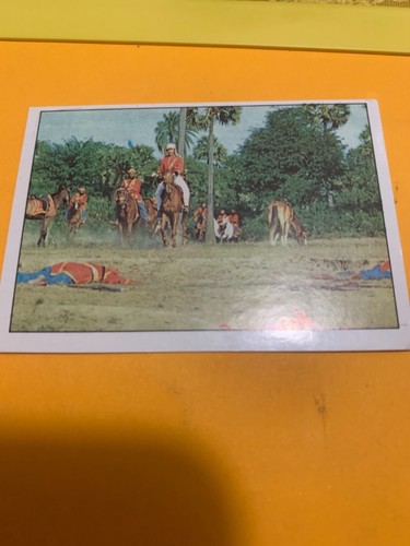 Figurina 205 sandokan - n.205, album