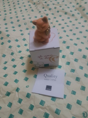 Meraviglioso gattino della