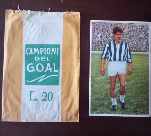 Cartolina nannina campioni del - nannina,