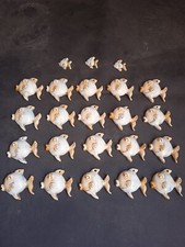 Lotto 23 bomboniere ceramica battesimo pesciolino bimbo