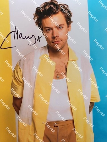 Harry styles cantante inglese - harry,