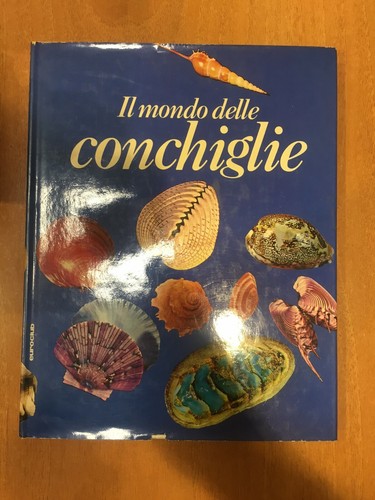 Mondo delle conchiglie - "il,