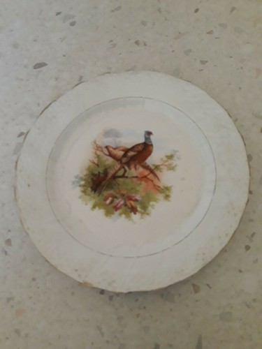 Piatto porcellana opaca