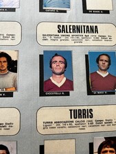 CICCOTELLI SALERNITANA N.527
