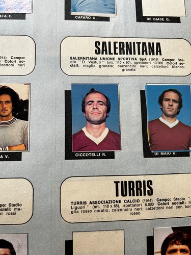 Ciccotelli salernitana 527 - ciccotelli, n.527