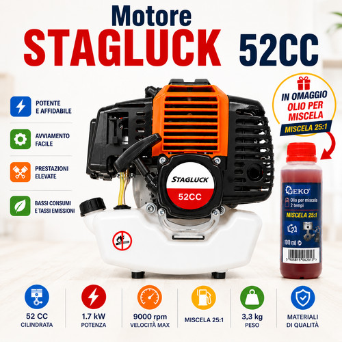 Motore stagluck 52cc 2 tempi - ,