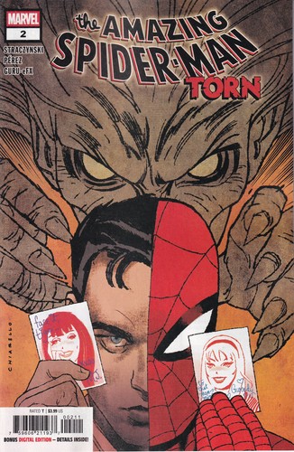 Amazing spiderman torn - spiderman, n.2