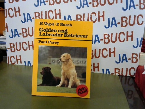 Golden und labrador retriever - golden,