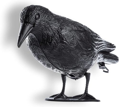 Corvo nero dissuasore uccelli - nero,