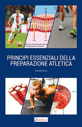 Principi essenziali della