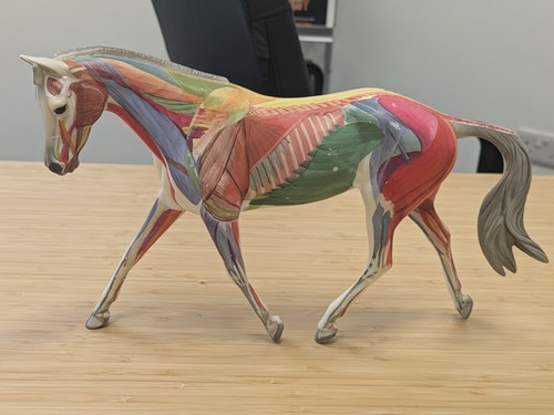 Breyer traditional model - model, horse