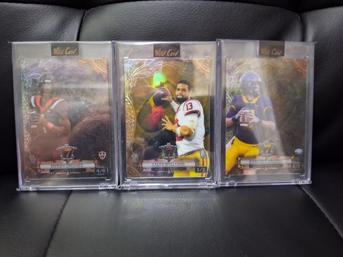 2024 wild card stud - card,