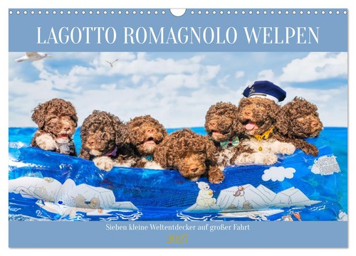 Lagotto romagnolo welpen - romagnolo,